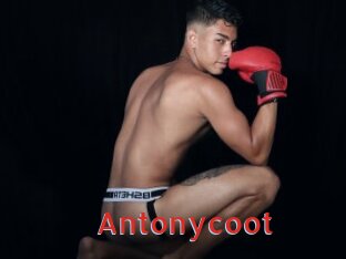 Antonycoot