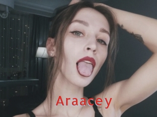 araacey Archive DVD NET