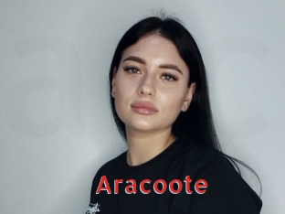 aracoote Archive DVD NET