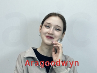 Aragoodwyn