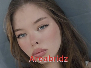 Areabridz