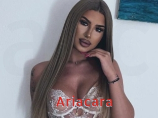 Ariacara
