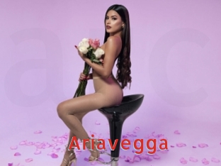 Ariavegga