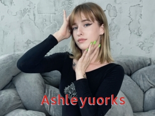 Ashleyuorks