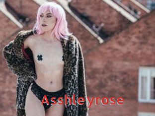 Asshleyrose