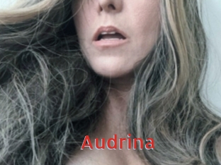 audrina Archive DVD NET