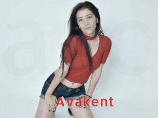 avakent Archive DVD NET