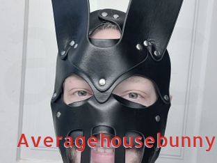 Averagehousebunny