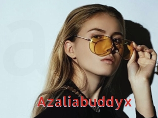 Azaliabuddyx