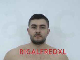 BIGALFREDXL