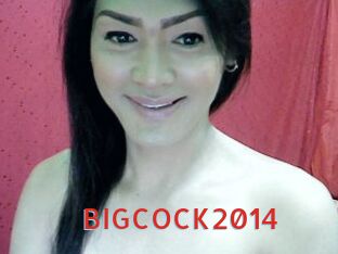 BIGCOCK2014