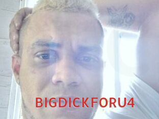 BIGDICKFORU4