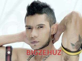 BIGZEHUZ Archive DVD NET