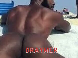 BRAYMER Archive DVD NET