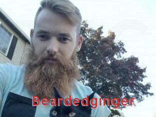 Beardedginger