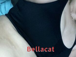 Bellacat