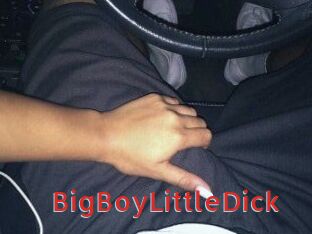 BigBoyLittleDick