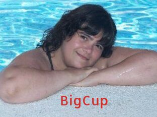 BigCup