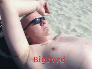 Bigbyrd