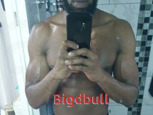 Bigdbull