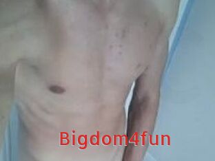 Bigdom4fun