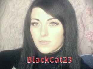 BlackCat23