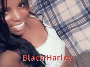 Black_Harley Archive DVD NET