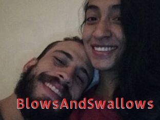 BlowsAndSwallows