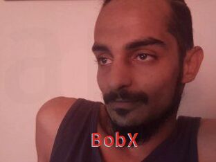 BobX