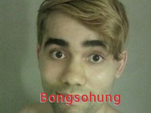 Bongsohung