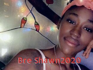 Bre_Shawn2020