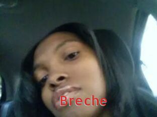 Breche