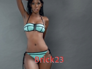 Brick23