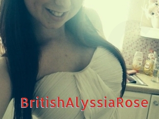 BritishAlyssiaRose