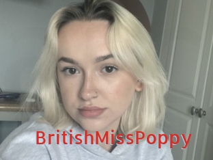 BritishMissPoppy