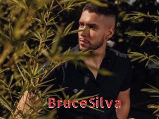 BruceSilva