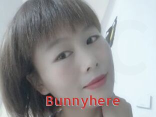 Bunnyhere