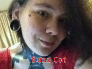 Buzz_Cat