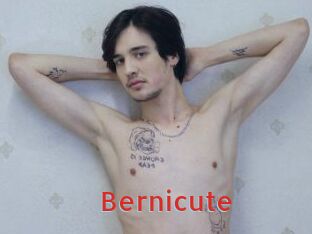 Bernicute