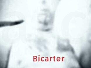 Bicarter