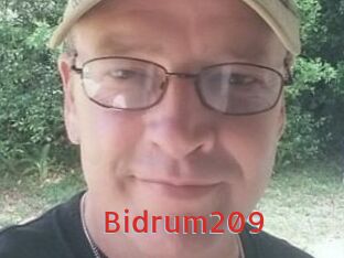 Bidrum209