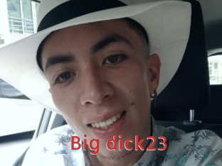 Big_dick23