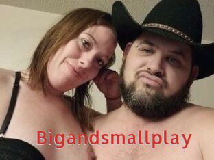 Bigandsmallplay