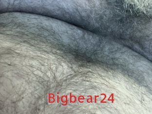 Bigbear24