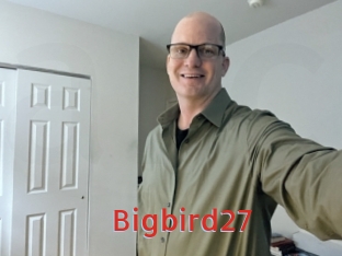 Bigbird27