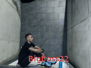 Bigboss22