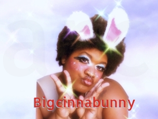 Bigcinnabunny