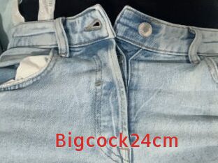 Bigcock24cm