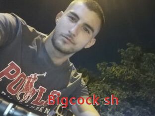 Bigcock_sh