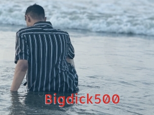 Bigdick500